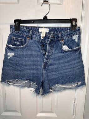 H&M Distressed Mid-Blue Denim Shorts